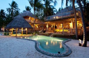 Eco lodge resorts hotels forest top lodges africa south phinda world