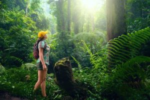 Tourism odisha ecotourism