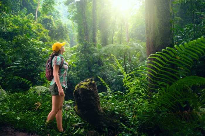 Tourism odisha ecotourism