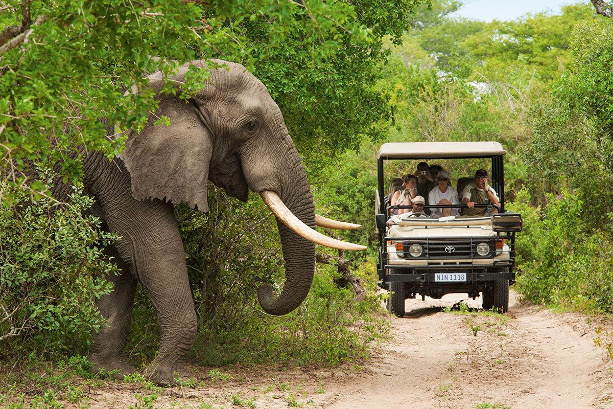 Ecotourism travel Ecotourism travel
