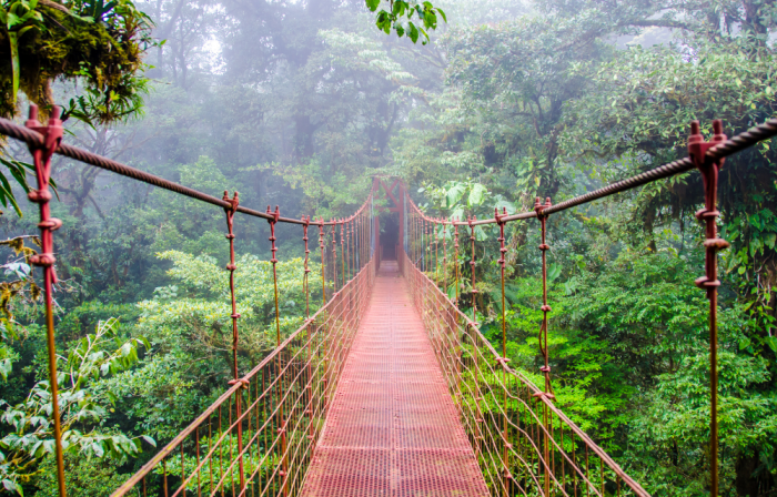 Ecotourism top destinations world destination usvi john st later