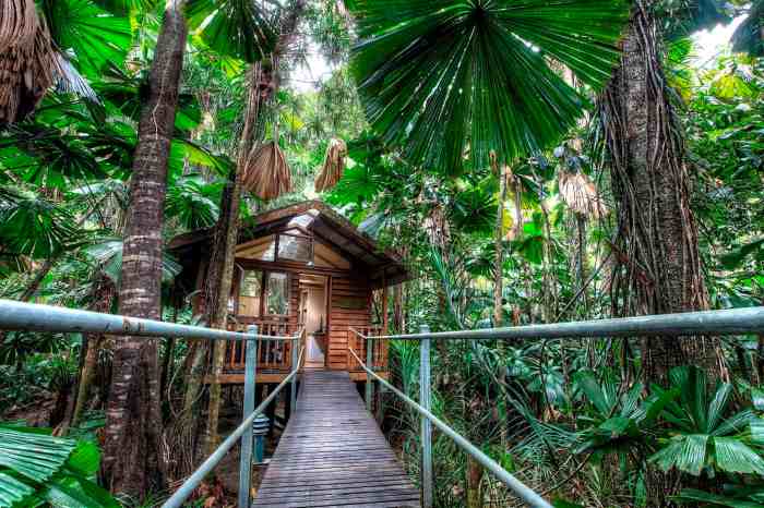 Lodge daintree eco rainforest wilderness lodges world australia resorts top hotels places stay forest hotel cabin tourist queensland accommodation tribulation Lodge daintree eco rainforest wilderness lodges world australia resorts top hotels places stay forest hotel cabin tourist queensland accommodation tribulation